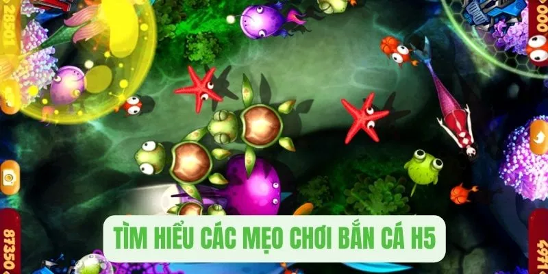 Tìm hiểu các mẹo chơi săn cá H5 đổi thưởng trực tuyến