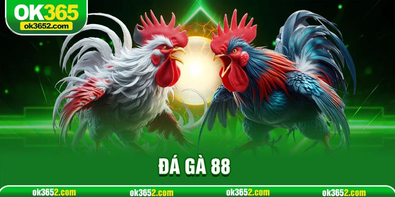 Đá gà 88