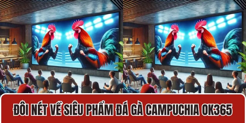 Đôi nét về siêu phẩm đá gà Campuchia OK365