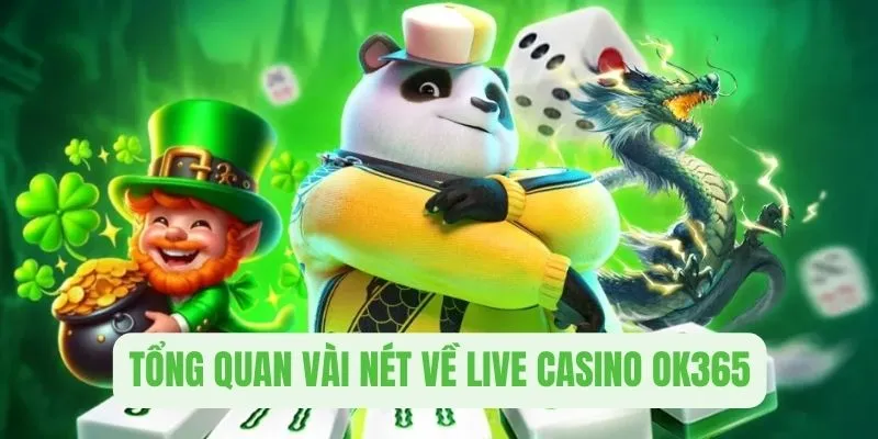 Tổng quan vài nét về thiên đường casino online OK365